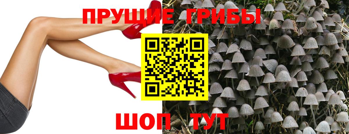 Новороссийск  Псилоцибиновые грибы мухоморы  Вход с VPN 